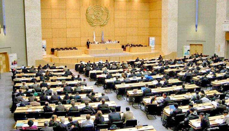 The assembly hall of the Palace of Nations. — Counter Punch/Yann
