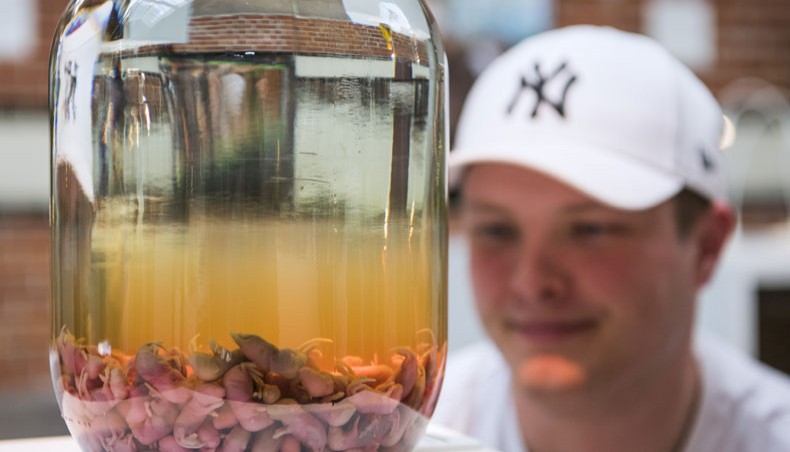 This file photo taken on November 7, 2018, shows a visitor looking at the ‘Mouse Wine’ from China presented at the Disgusting Food Museum in Malmo, Sweden. Poop wine and scorpion vodka are just some of the stars of a new exhibit on revolting alcohol at the Disgusting Food Museum in Malmo in Sweden. — AFP Photo