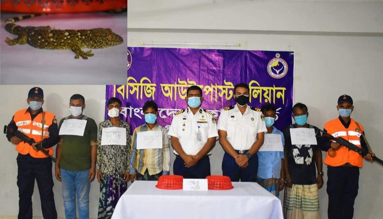 Bangladesh Coast Guard hold five suspected wildlife smugglers with two rare species of Tokay gecko at Paikgachha in Khulna. -- New Age photo