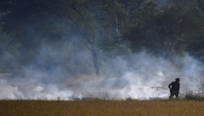 In this photograph taken on October 22, 2020 an Indian farmer walks as he burns straw stubble on his field in Zirakpur, Punjab. New Delhi was blanketed in noxious haze on October 23 as air pollution levels in parts of the city soared to 'severe' levels, hours after US president Donald Trump described the air in the vast nation as 'filthy'