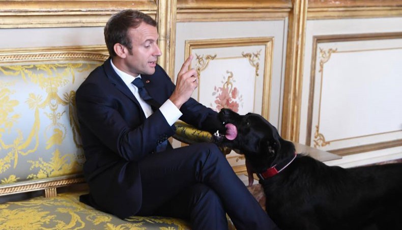 French president Emmanuel Macron and his dog Nemo are seen in this photograph during a meeting at the Elysee presidential Palace in Paris on August 30, 2017. — AFP file photo
