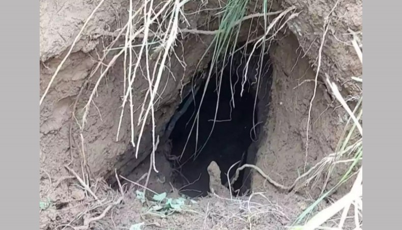 A representative image of the tunnel. — The Times of India