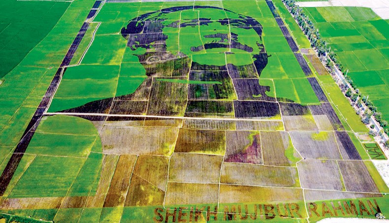 In this aerial photograph taken on March 2, 2021 shows a representation of the portrait of Bangladesh’s founding president Sheikh Mujibur Rahman made with paddies on around 400-metre-long and 300-metre-wide in a field of Sherpur upazila in Bogura. — AFP