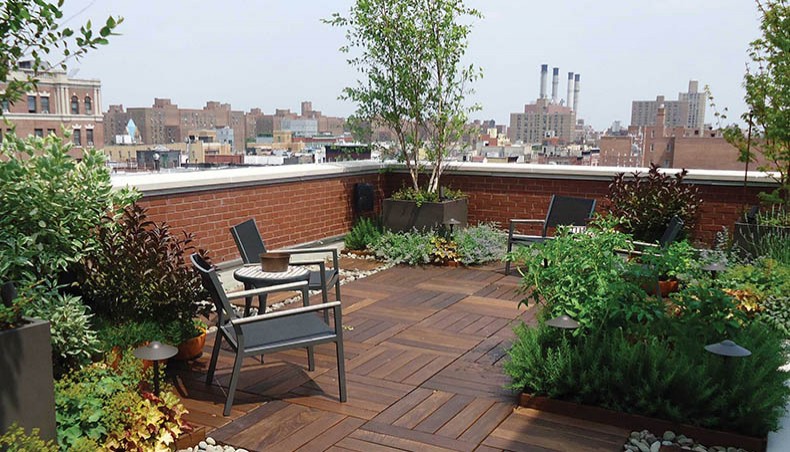 rooftop garden in bangladesh