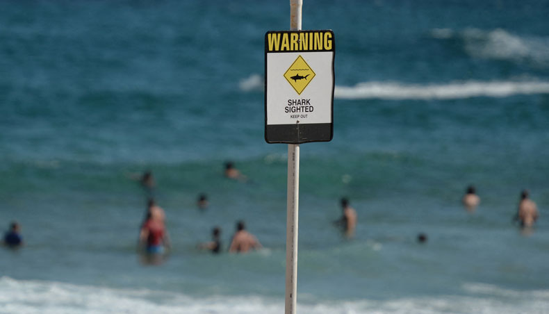 A file photo taken January 17, 2015 shows swimmers seen in the water despite shark warning signs posted on the beach in the northern New South Wales city of Newcastle. — AFP photo