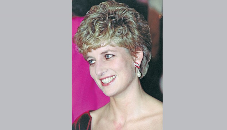 Diana statue event may 'break ice' for princes: royal ...