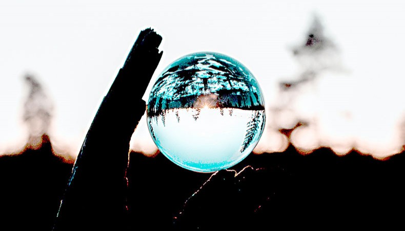— Off-Guardian/Tobias Bjerknes on Unsplash