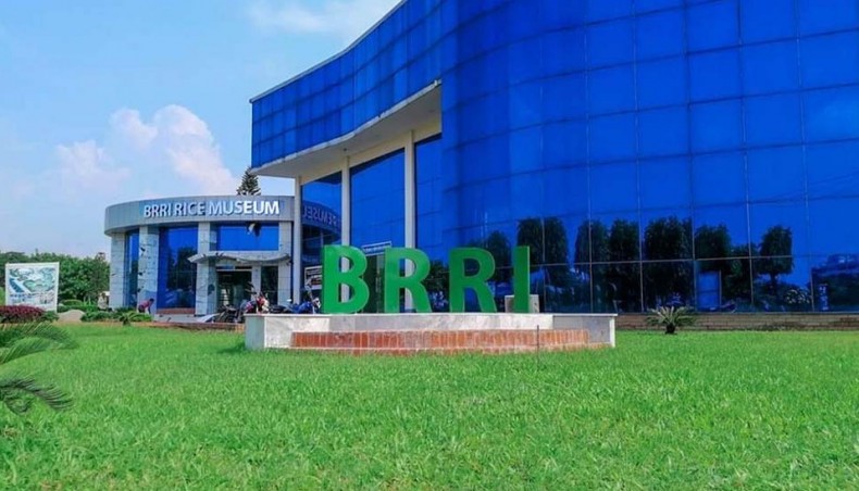 New Age | Bangladesh Rice Research Institute launches rice museum in ...