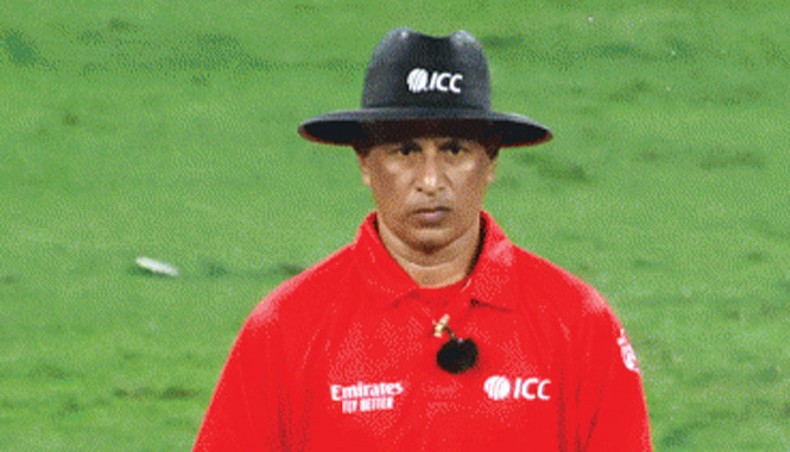 Mushuklar va dumbalar