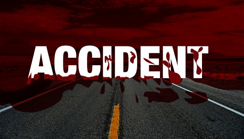 Ensuring emergency healthcare for accident victims demanded - Vimarsana News