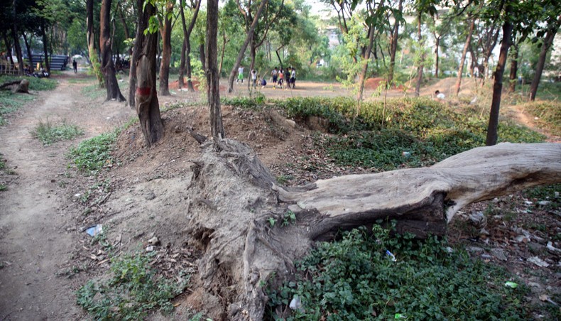Panthakunja Park left abandoned for years for renovation - Vimarsana News