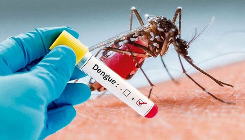 Bangladesh reports hospitalisation of 80 dengue patients in 24hrs