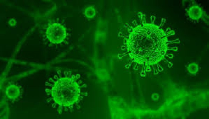 114 Covid cases reported in Bangladesh in 24hrs