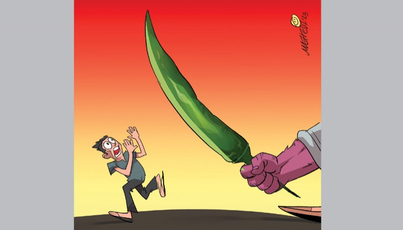 New Age | Green chilli price hits Tk 1,000 per kg