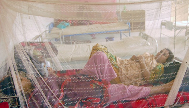 New Age | Rain triggers fears of fresh spike of dengue in Bangladesh