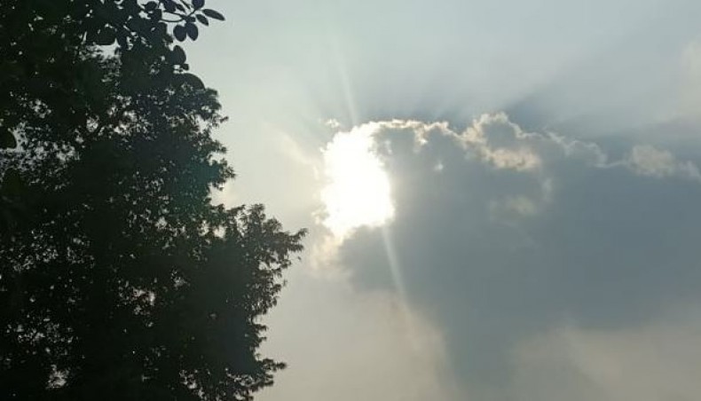 New Age | Dry weather with moderate to thick fog to continue