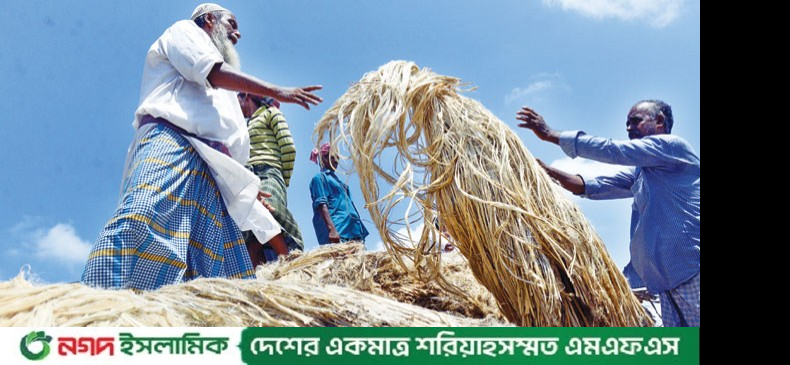 www.newagebd.net