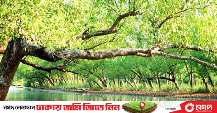 www.newagebd.net